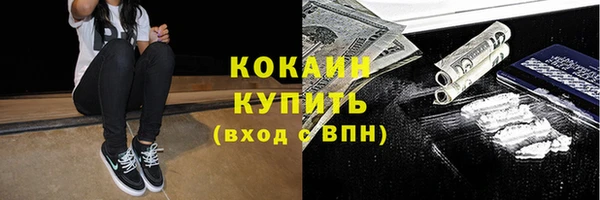 шишки Армянск