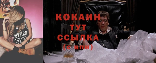 шишки Армянск
