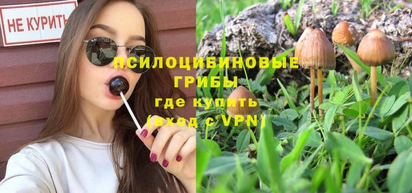 шишки Армянск
