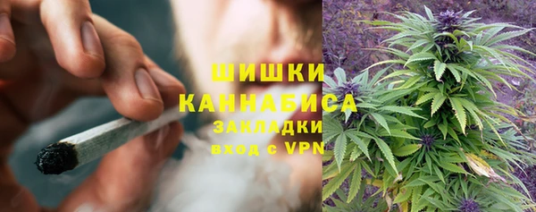 шишки Армянск
